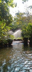 IMG_20230218_154229_HDR