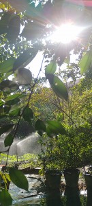 IMG_20230218_154240_HDR