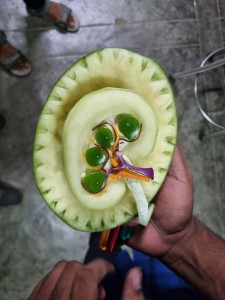 IMG-20231016-WA0048