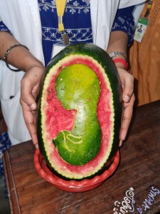 IMG-20231016-WA0053