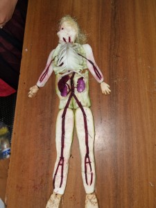 IMG-20231016-WA0054