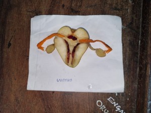 IMG-20231016-WA0057