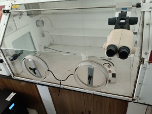 IMG_20231017_132830