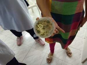 IMG_20231017_133832